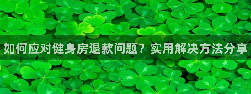 龙8国际手机版