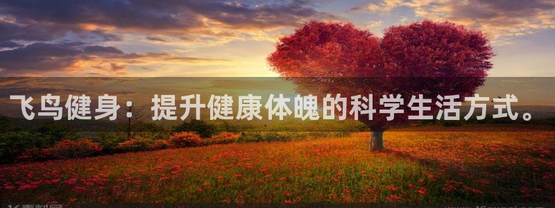 龙8游戏官方网站登录