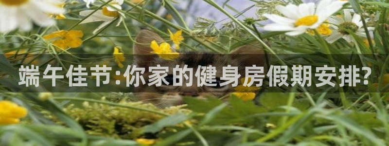龙8国际试玩