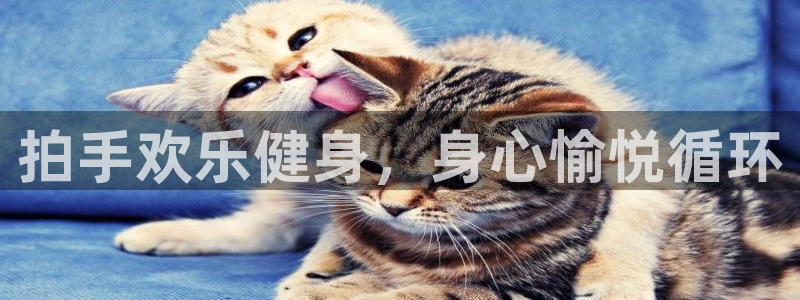 龙8国际.apk