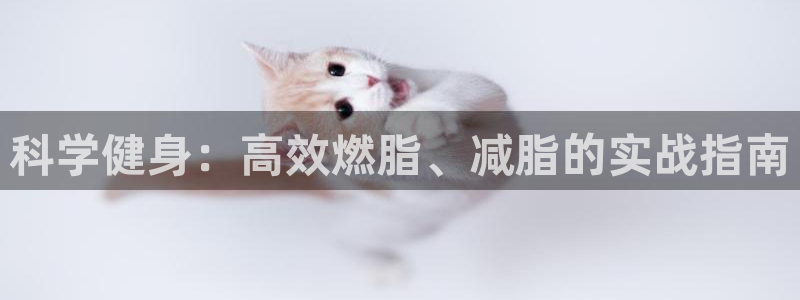 龙8国际官方网