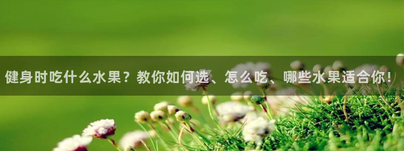龙8国际pt官网