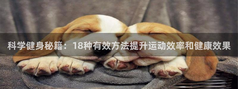 下载龙八国际官网