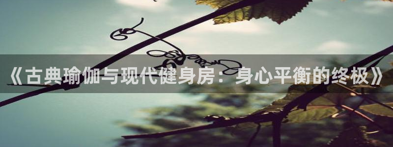 龙8国际app下载安装