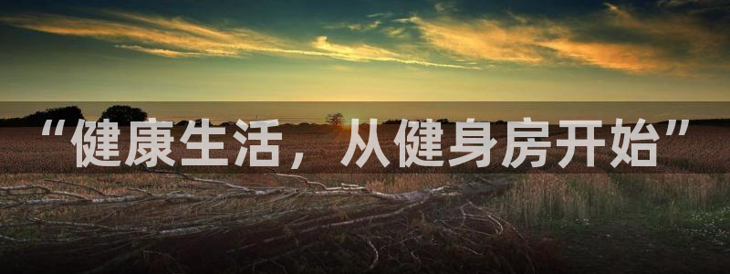 龙8国际app下载安装