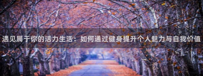 龙八国际网页