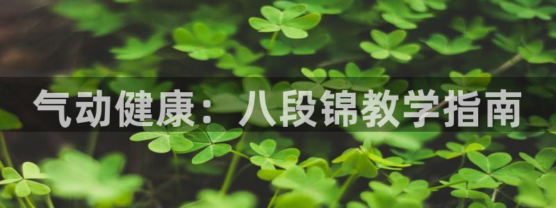 龙8国际手机登录官网