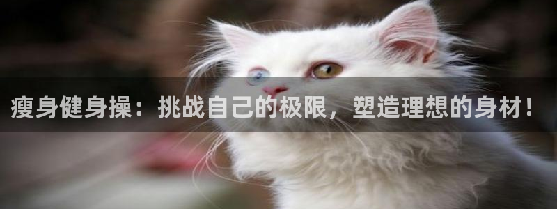 龙8国际官网注册