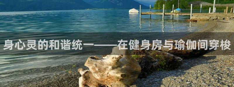 龙8国际手机版下载