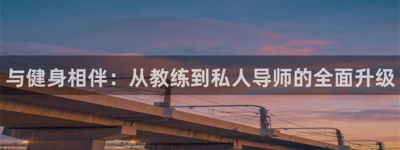 龙8老虎机手机版