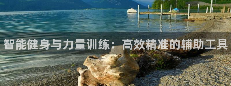 国际龙8官网pt客户端