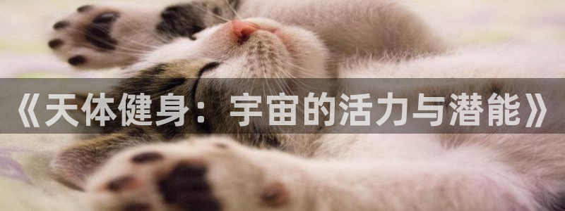 龙8游戏官方网站s