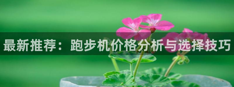 龙8国际手机官网下载安装