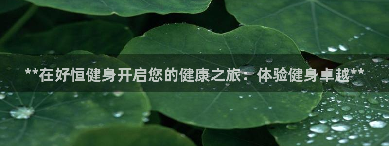 龙8头号玩家游戏官方进入