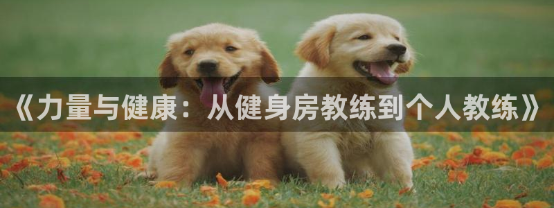 龙八国际下载官网平台