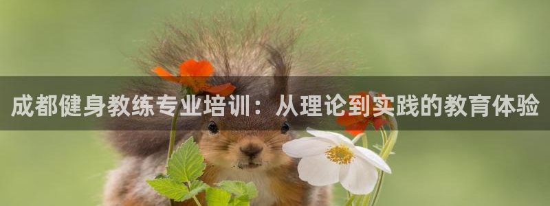 龙8国际网页登录