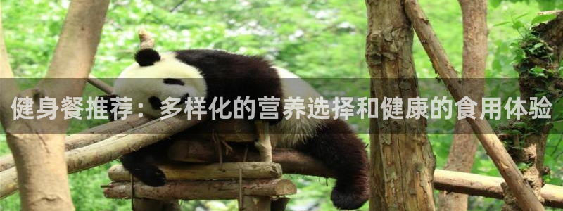 龙8国际手机游戏官网