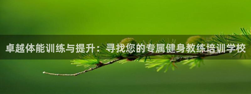 龙8国际官网版玩法