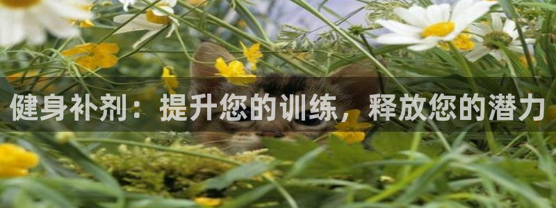 龙8国际平台登录