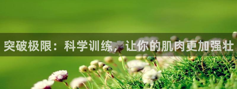 龙八国际下载官网平台