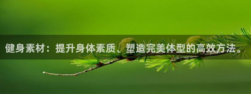 龙8全新客户端安卓版