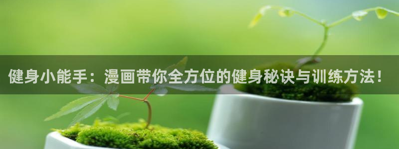 龙8国际为啥改名叫头号玩家了