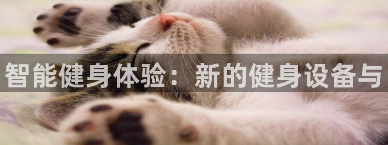 龙8国际唯一登录地址