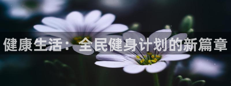 龙8国际老虎机娱乐