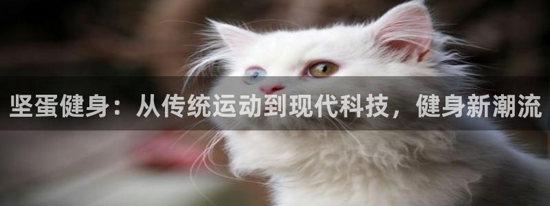 龙8国际官方网址