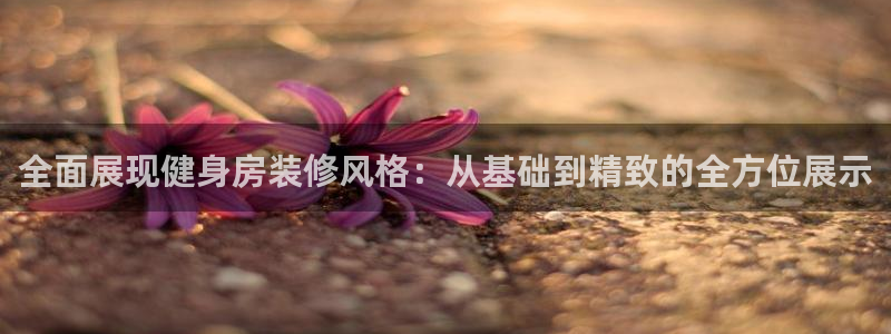 龙8国际手机版app