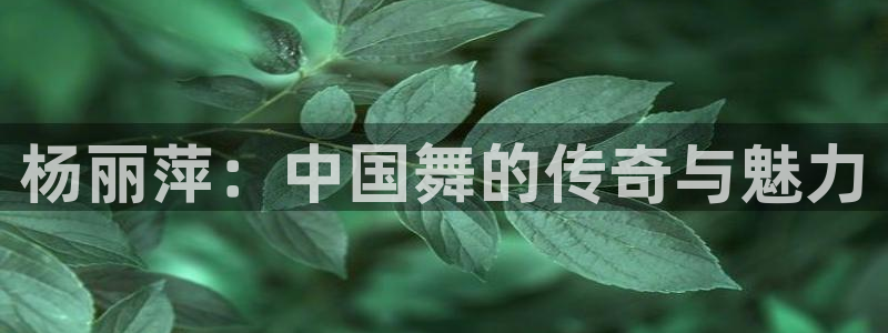 龙8国际头号玩家