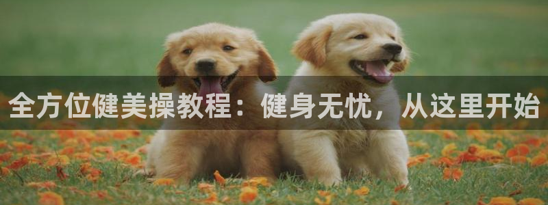 龙8国际害死多少人